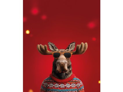 Crazy vanocni sob 50x60 eshop