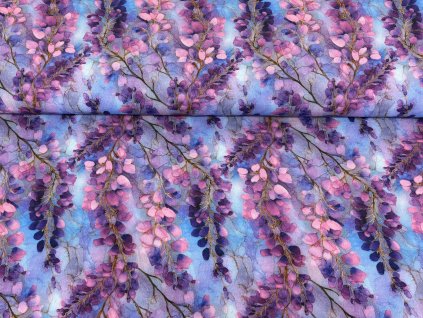 Fialova vistarie uvodni