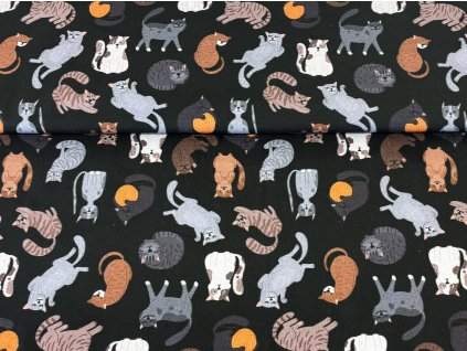 Bavlněná teplákovina  -  Kočičky na černé