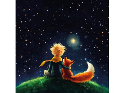 Maly princ a hvezdy 38x38 eshop