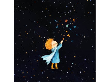 Maly princ a obloha plna hvezd 38x38 eshop
