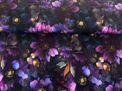 svestkove fialove kvety uvodni