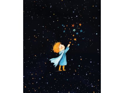 Maly princ a obloha plna hvezd 50x60 eshop