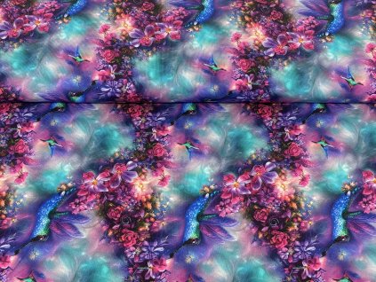 Mysticti kolibrici uvodni