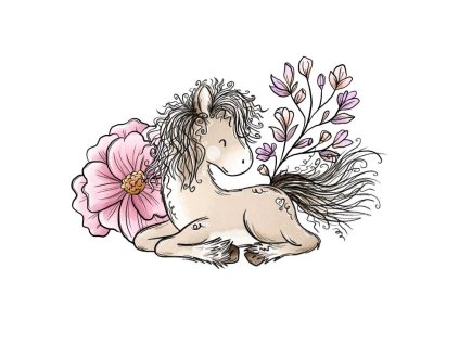 nažehlovací obrázek eshop