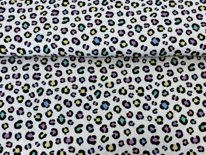 pastelovy gepard uvodni