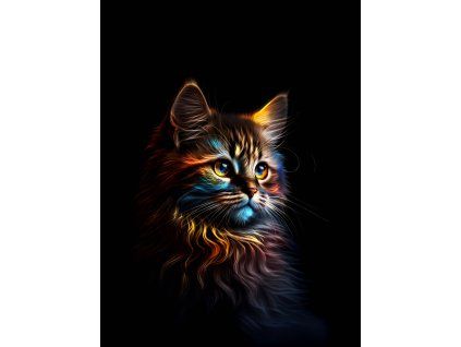 Duhove kotatko 60x80 eshop