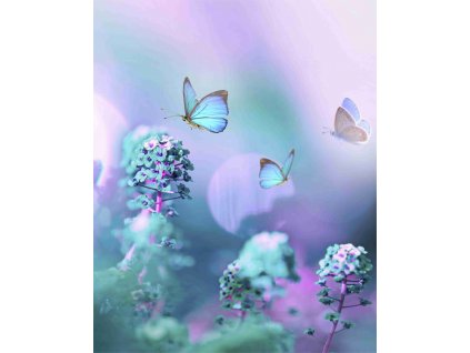 panel taška 40x50 motýli