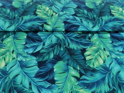 listy monstera