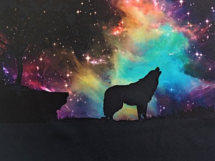Panel Vyjící vlk na magickou oblohu 50x40cm