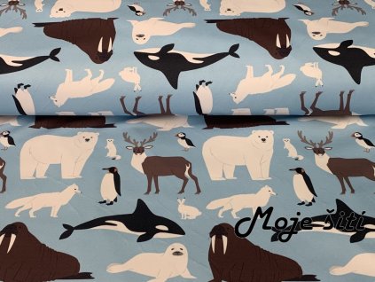 Zimní softshell Za polárním kruhem - digitální tisk