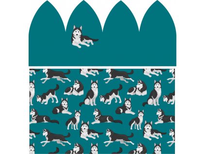 Husky vizualizace