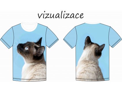 Kočka na světle modré