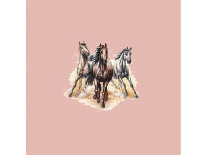 koně na starorůžové
