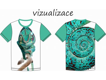 Chameleon vizualizace