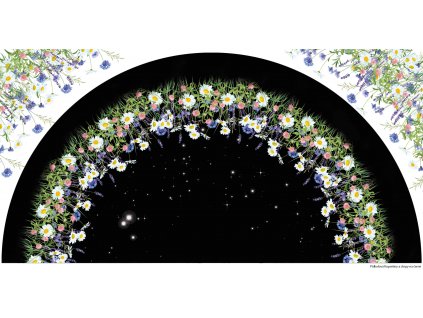 Panel na půlkolovou sukni Kopretiny a chrpy na černé