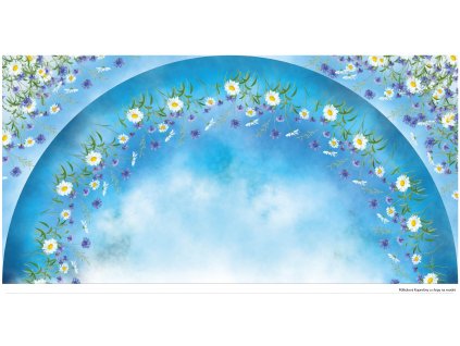 Kopretiny a chrpy na modré půlkolová