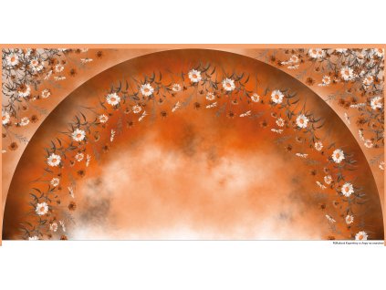 Kopretiny a chrpy na oranžové půlkolová