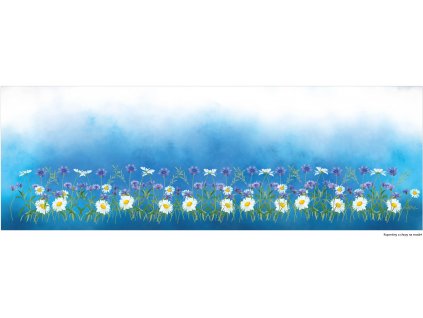 Kopretiny a chrpy na modré 150x50