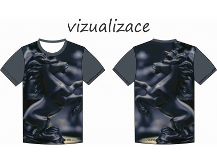 vizualizace šachový kůň