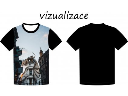 Drak na střeše vizu