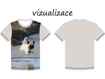 Mopsík na pláži vizu