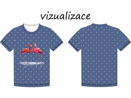 Plameňáci a puntíky vizualizace