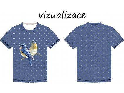 Sýkorky a puntíky vizualizace