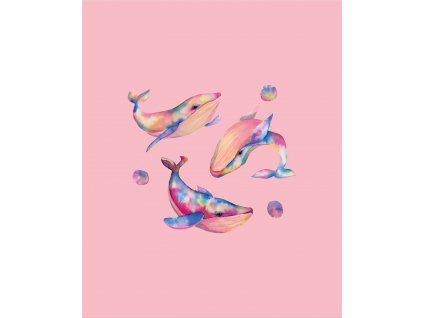 Duhové velryby 49x60