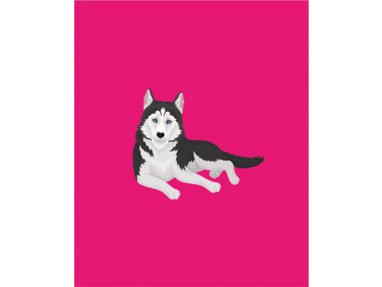Husky na růžové 49x60