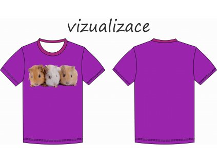 Vizualizace