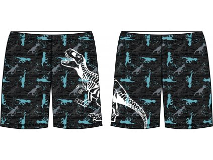 Kostra dinosaura vizualizace