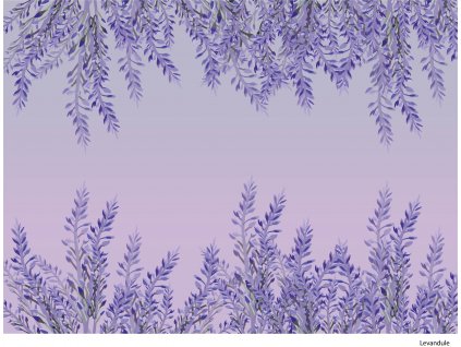 Levandule