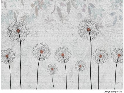 Chmýří pampelišek