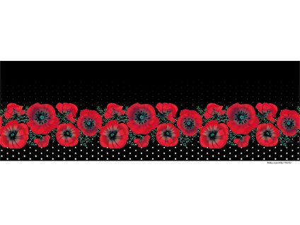 Máky a puntíky 150x50