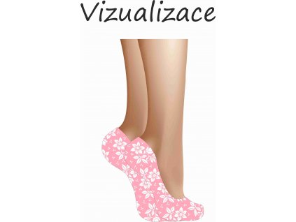 Vizualizace onožky