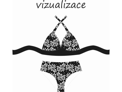 VIZUALIZACE