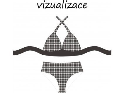 VIZUALIZACE OK