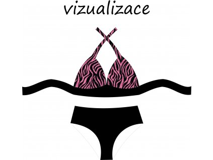 VIZUALIZACE OK