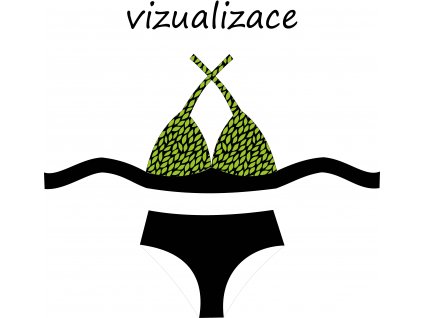 VIZUALIZACE OK