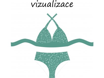 VIZUALIZACE OK