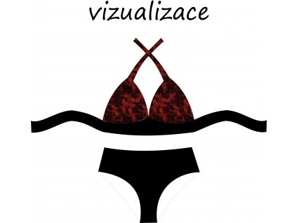 VIZUALIZACE OK