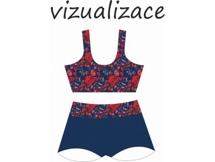 Vizualizace