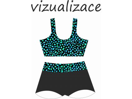 Vizualizace