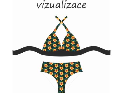 VIZUALIZACE