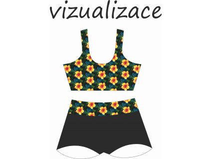 Vizualizace