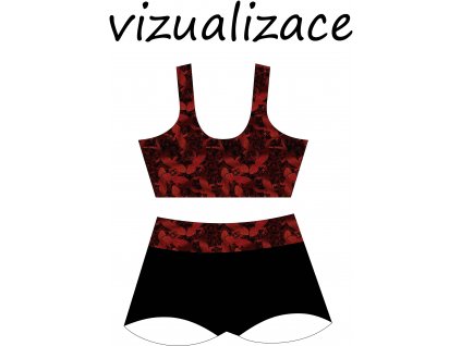 Vizualizace