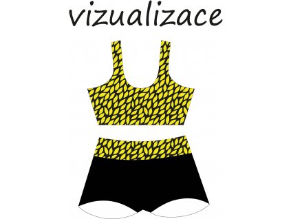 Vizualizace