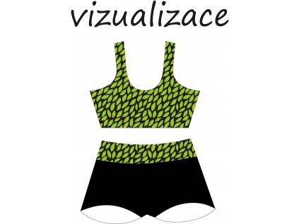 Vizualizace