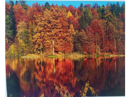 Panel kočárkovina Odraz ve vodě 40x50cm